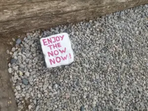 Ein weißer Stein mit der Botschaft in pinker Farbe: "ENJOY THE NOW NOW!". Alle Wörter stehen untereinander. Der Stein ist auf kleinen Kieseln neben einem Holzstamm.