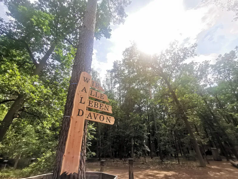 Ein Wegweißer aus Holz in brauner Farbe fotografiert "von unten" durch die Weitwinkel-Perspektive in einem Wald.Auf dem Schild steht das Wort "Wald" mit den 4 Buchstaben untereinander - also W oben und D ganz unten. Passend dazu gehen weitere Holz"pfeile" "zur Seite" heraus. Ganz oben steht "Wir" , "Alle", "Leben" , "Davon". Der Himmel mit Wolken und Sonne ist sichbar und der Waldboden. Der Wegweißer ist an einen Baum befestigt