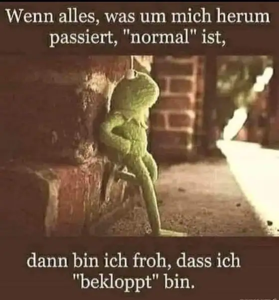 Ein Quadratisches Foto. In der Mitte steht ein grüner Kermit an einer Ziegel-Wand draußen. Oben und unten steht weißer Text auf schwarzen Hintergrund. Wenn alles, was um mich herum passiert, "normal" ist, dann bin ich froh, dass ich "bekloppt" bin.